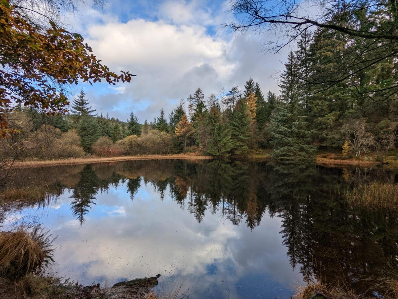 Nordlys Cottage Newton Stewart Bagian luar foto