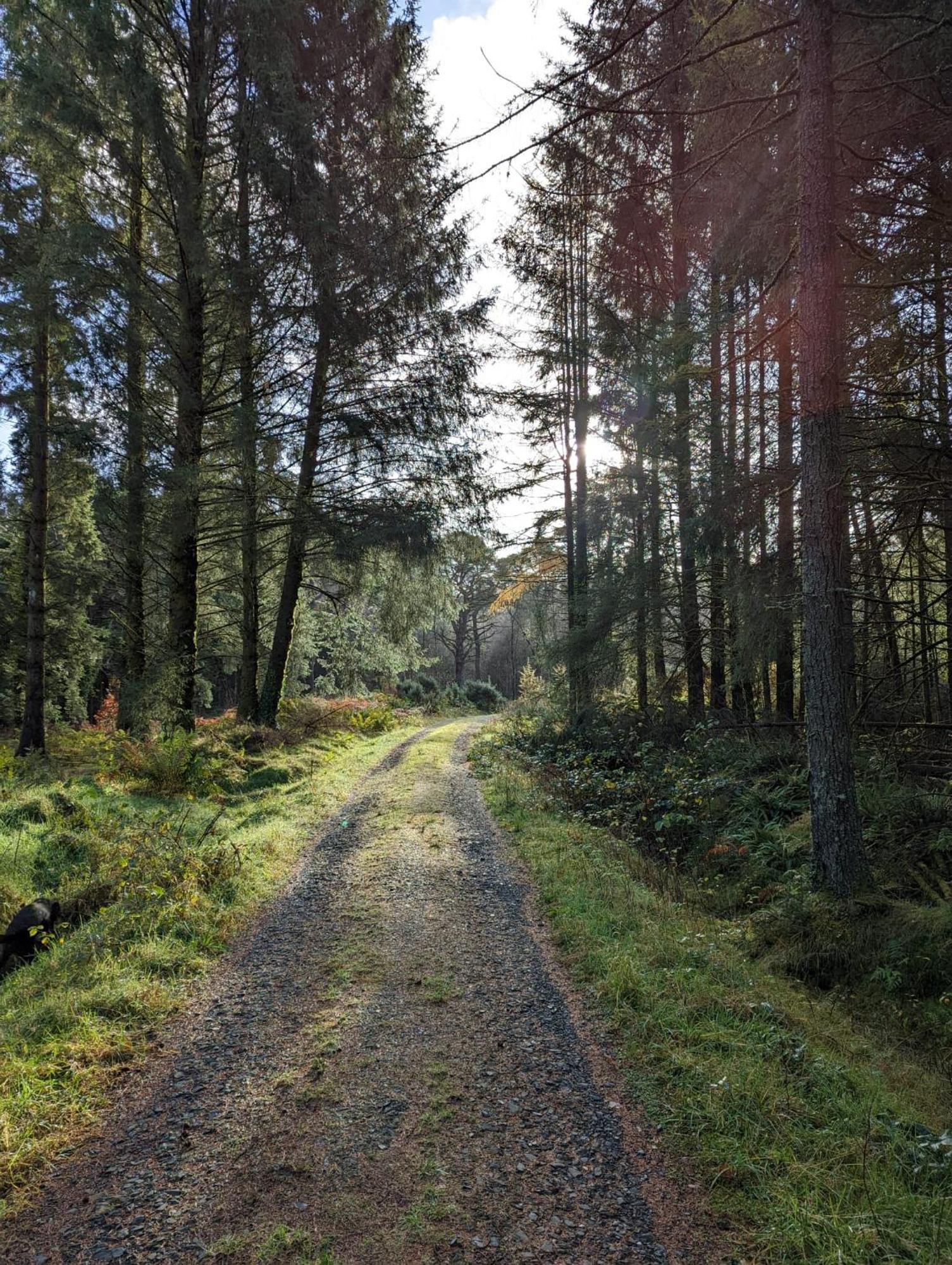 Nordlys Cottage Newton Stewart Bagian luar foto