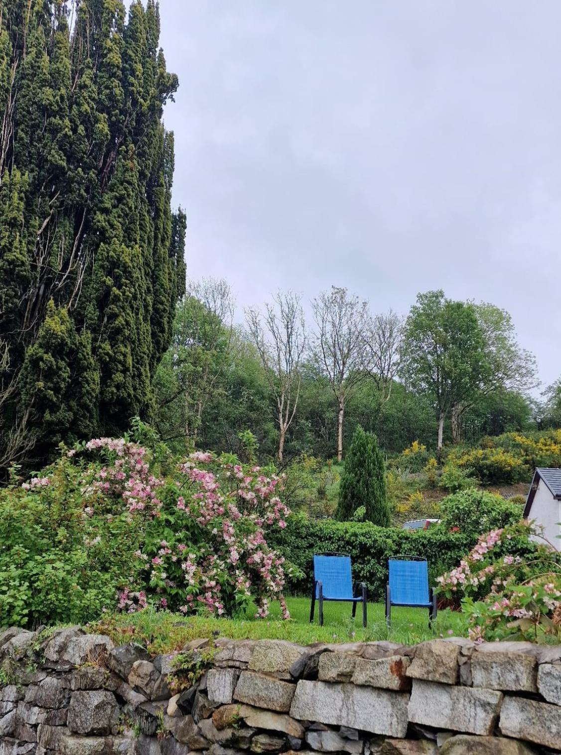 Nordlys Cottage Newton Stewart Bagian luar foto