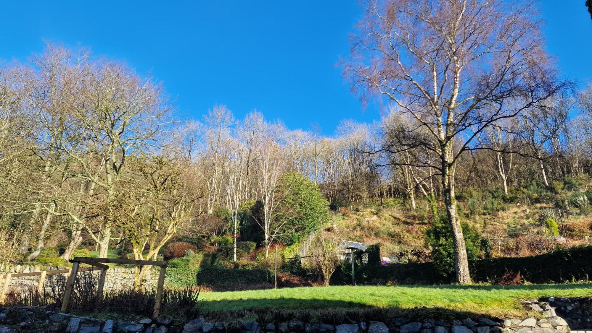 Nordlys Cottage Newton Stewart Bagian luar foto